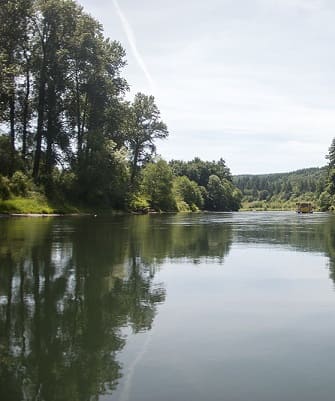 The Cowlitz River