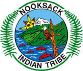 Nooksack Arm Patch